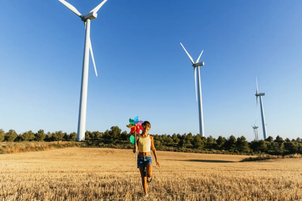 Türkiye'nin en büyük rüzgar enerji santralleri